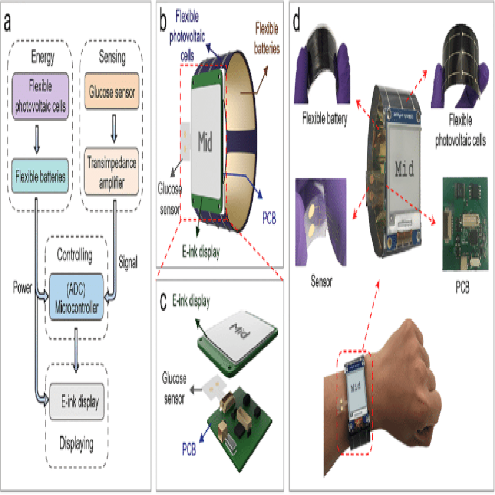 A close up annotated diagram of a smartwatch PCB highlighting